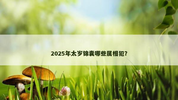 2025年太岁锦囊哪些属相犯？