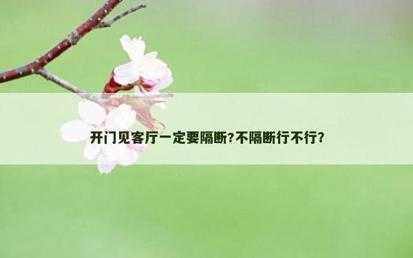 开门见客厅一定要隔断?不隔断行不行？