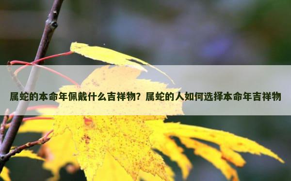 属蛇的本命年佩戴什么吉祥物？属蛇的人如何选择本命年吉祥物