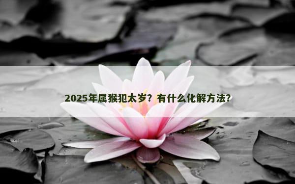 2025年属猴犯太岁？有什么化解方法？