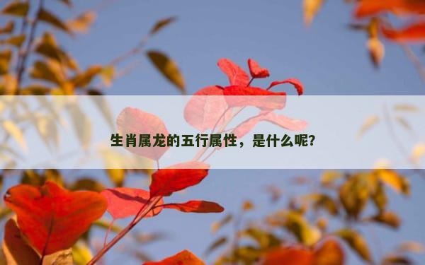 生肖属龙的五行属性，是什么呢？