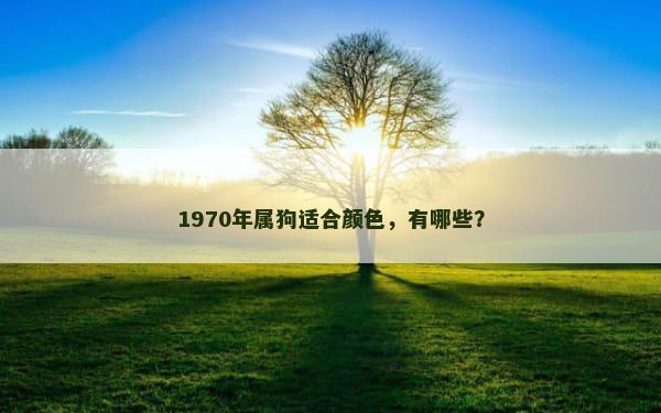 1970年属狗适合颜色，有哪些？