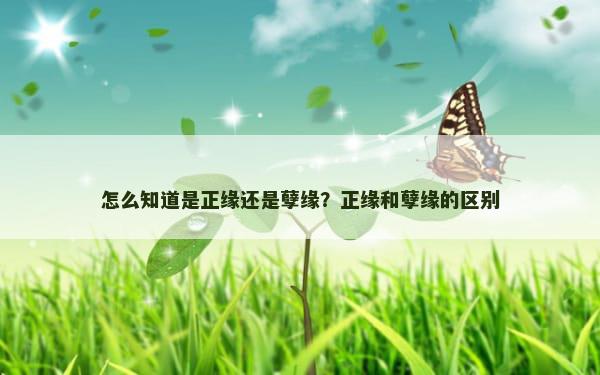 怎么知道是正缘还是孽缘？正缘和孽缘的区别