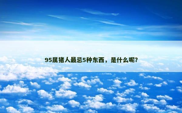 95属猪人最忌5种东西，是什么呢？