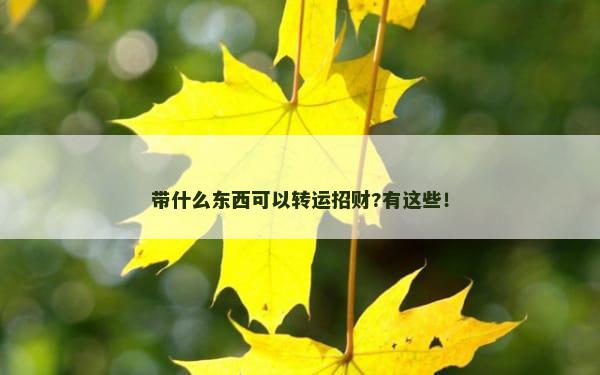 带什么东西可以转运招财?有这些！