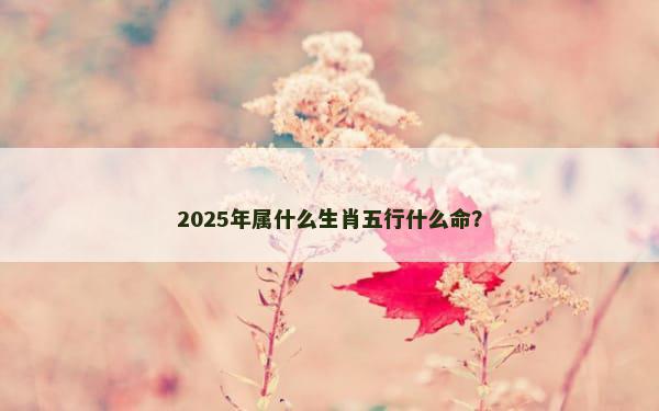 2025年属什么生肖五行什么命？