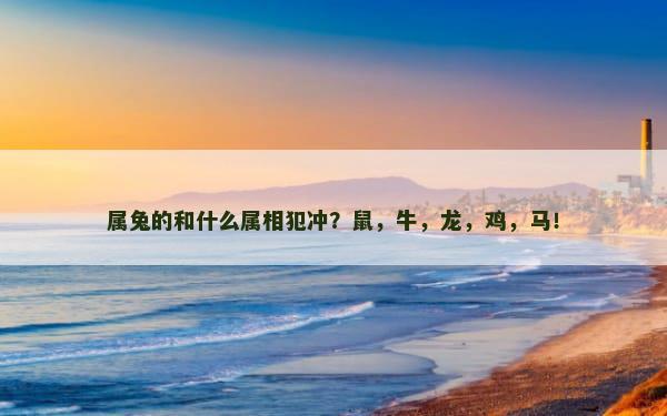 属兔的和什么属相犯冲？鼠，牛，龙，鸡，马！