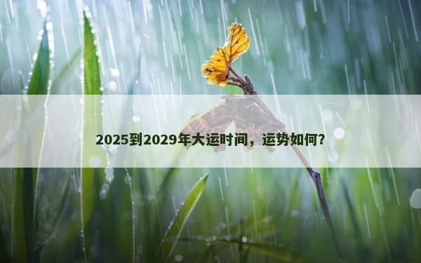 2025到2029年大运时间，运势如何？
