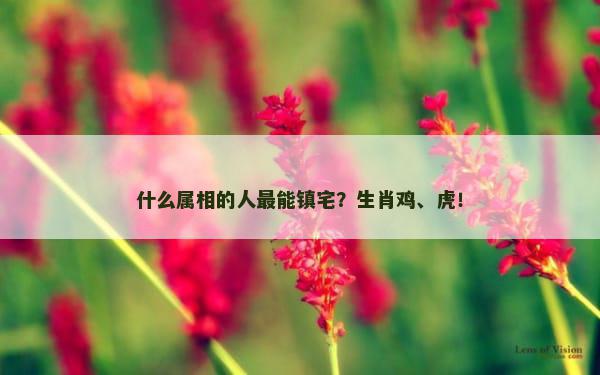 什么属相的人最能镇宅？生肖鸡、虎！