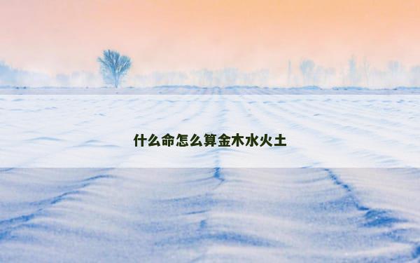 什么命怎么算金木水火土