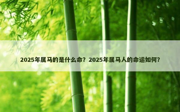 2025年属马的是什么命？2025年属马人的命运如何？