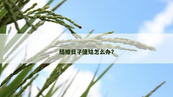 结婚日子值姑怎么办？