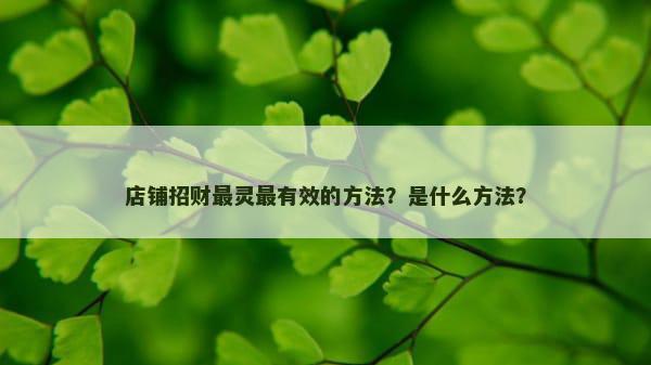 店铺招财最灵最有效的方法？是什么方法？