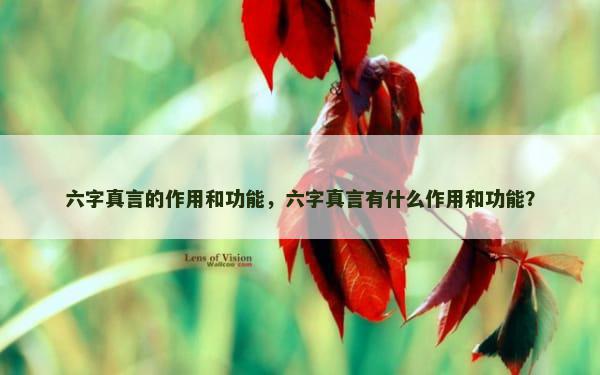 六字真言的作用和功能，六字真言有什么作用和功能？