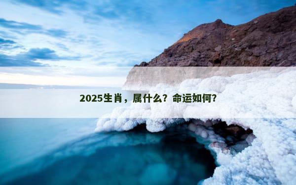 2025生肖，属什么？命运如何？
