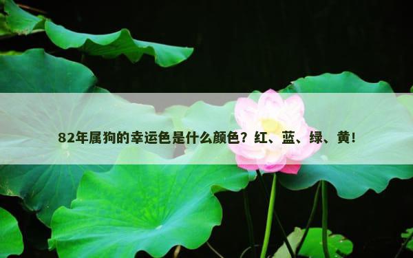 82年属狗的幸运色是什么颜色？红、蓝、绿、黄！