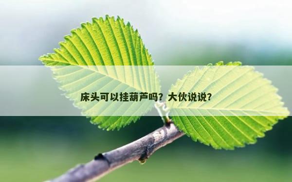床头可以挂葫芦吗？大伙说说？