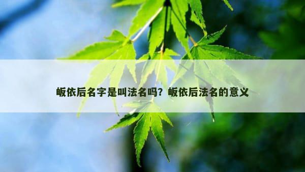 皈依后名字是叫法名吗？皈依后法名的意义