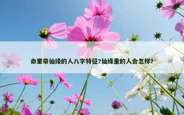 命里带仙缘的人八字特征?仙缘重的人会怎样？