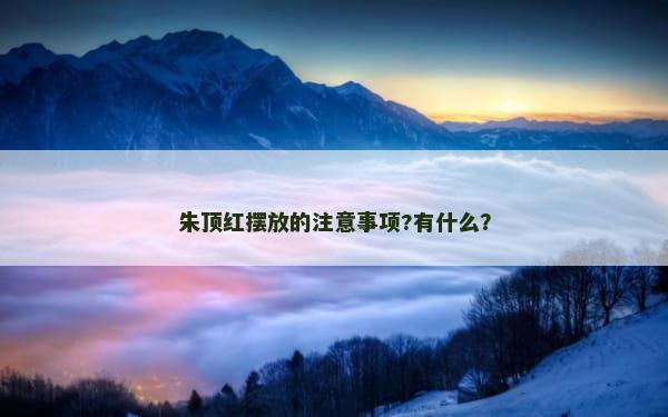 朱顶红摆放的注意事项?有什么？