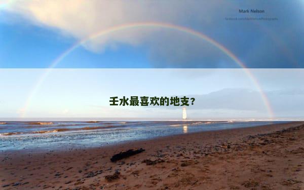 壬水最喜欢的地支?
