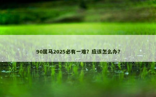 90属马2025必有一难？应该怎么办？