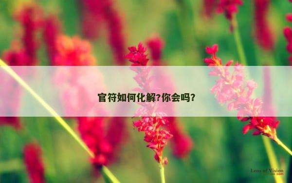 官符如何化解?你会吗？