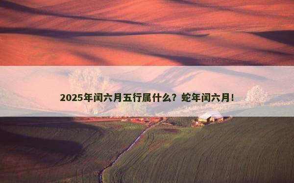 2025年闰六月五行属什么？蛇年闰六月！