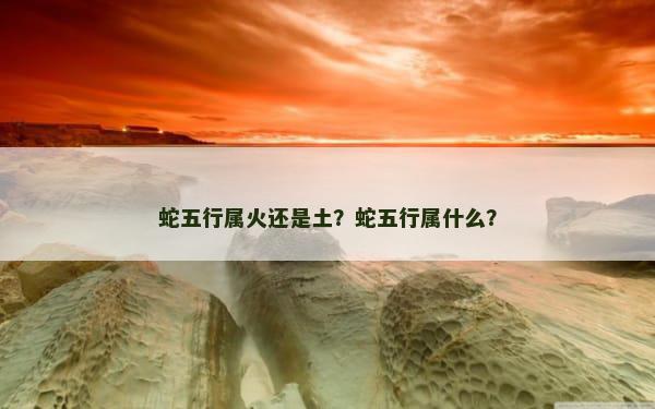 蛇五行属火还是土？蛇五行属什么？