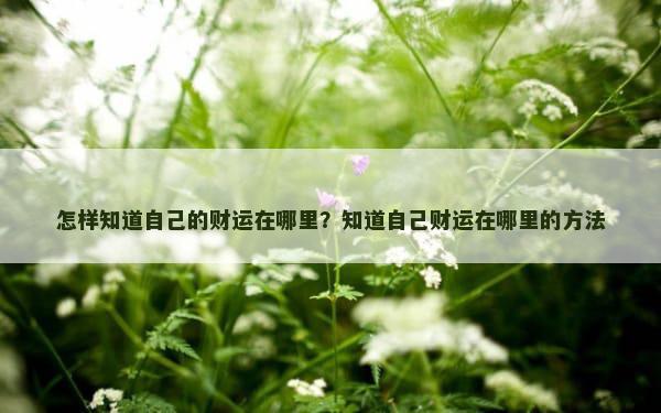 怎样知道自己的财运在哪里？知道自己财运在哪里的方法