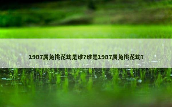 1987属兔桃花劫是谁?谁是1987属兔桃花劫？