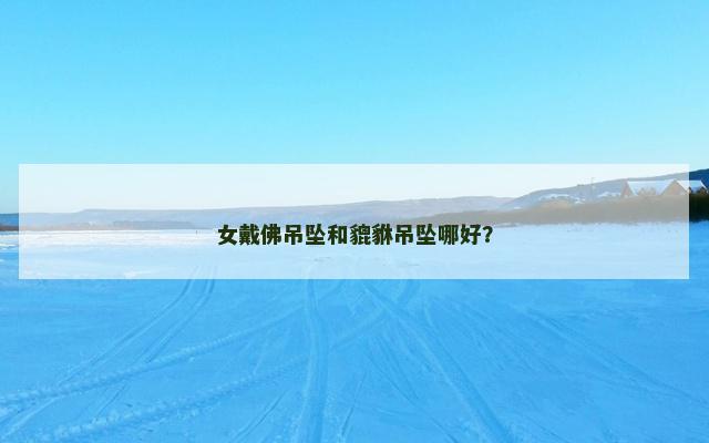 女戴佛吊坠和貔貅吊坠哪好？