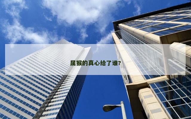 属猴的真心给了谁?