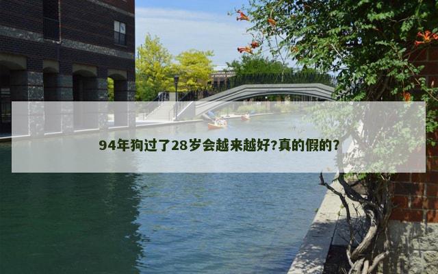 94年狗过了28岁会越来越好?真的假的？