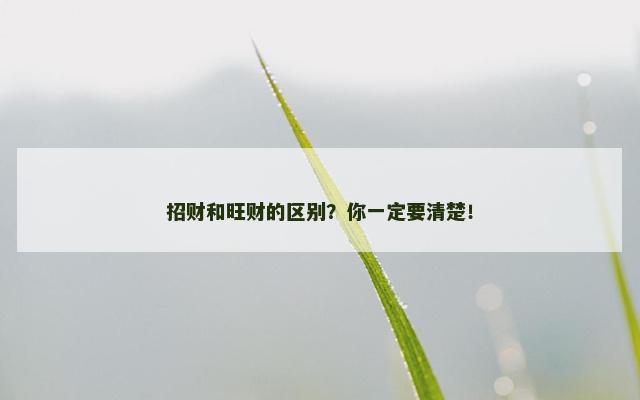 招财和旺财的区别？你一定要清楚！