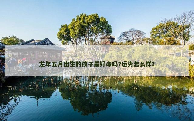 龙年五月出生的孩子最好命吗?运势怎么样？