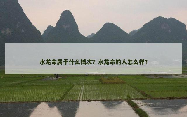 水龙命属于什么档次？水龙命的人怎么样？