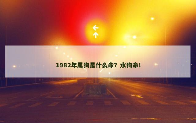 1982年属狗是什么命？水狗命！