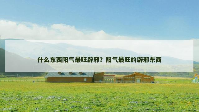什么东西阳气最旺辟邪？阳气最旺的辟邪东西