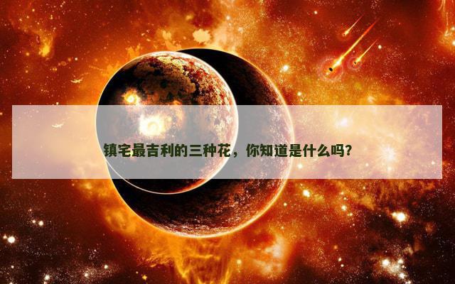镇宅最吉利的三种花，你知道是什么吗？
