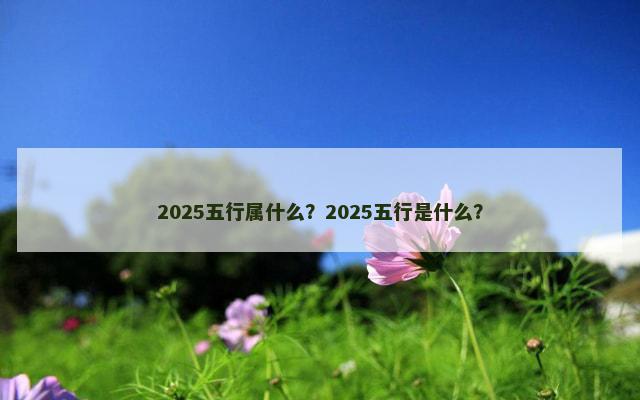 2025五行属什么？2025五行是什么？