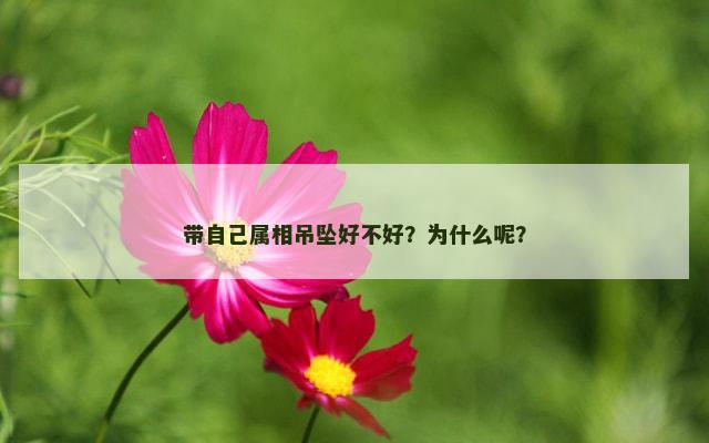 带自己属相吊坠好不好？为什么呢？
