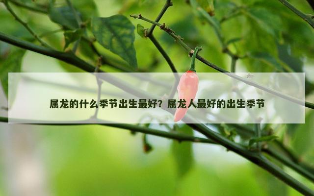 属龙的什么季节出生最好？属龙人最好的出生季节
