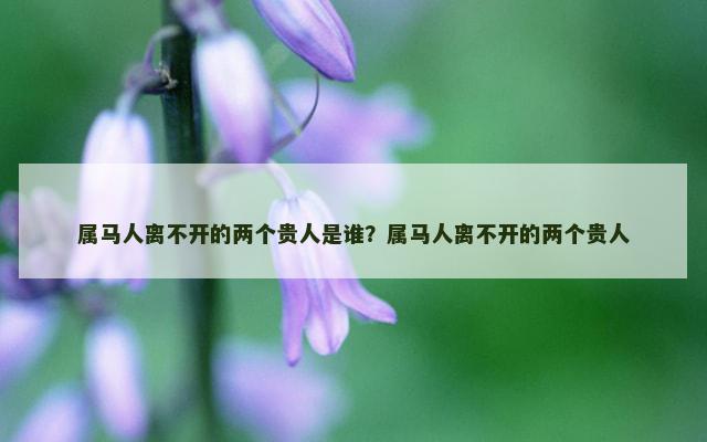 属马人离不开的两个贵人是谁？属马人离不开的两个贵人