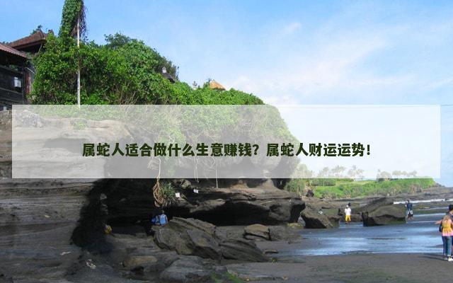 属蛇人适合做什么生意赚钱？属蛇人财运运势！