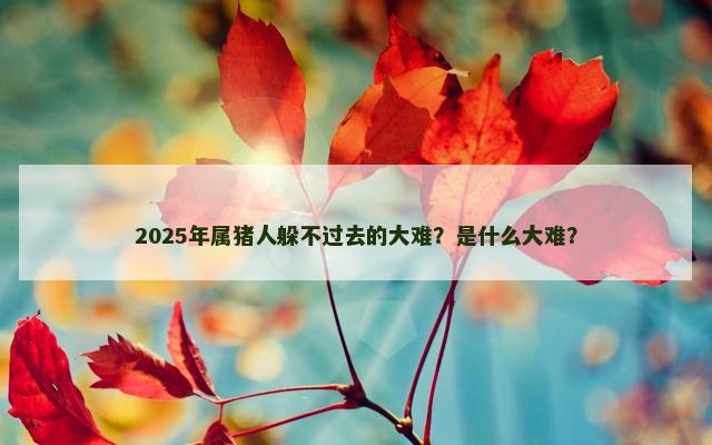 2025年属猪人躲不过去的大难？是什么大难？
