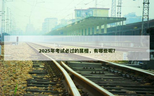 2025年考试必过的属相，有哪些呢？