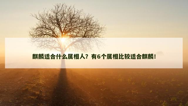 麒麟适合什么属相人？有6个属相比较适合麒麟！