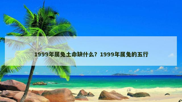 1999年属兔土命缺什么？1999年属兔的五行