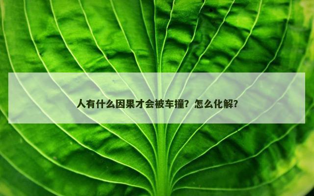 人有什么因果才会被车撞？怎么化解？